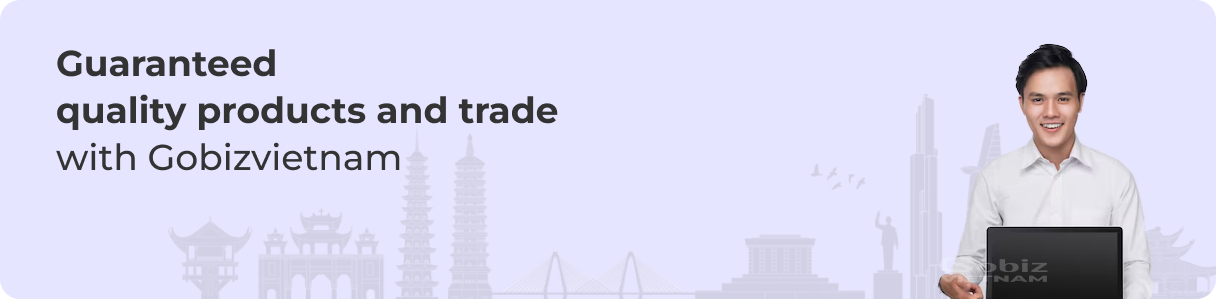 About Gobiz Vietnam